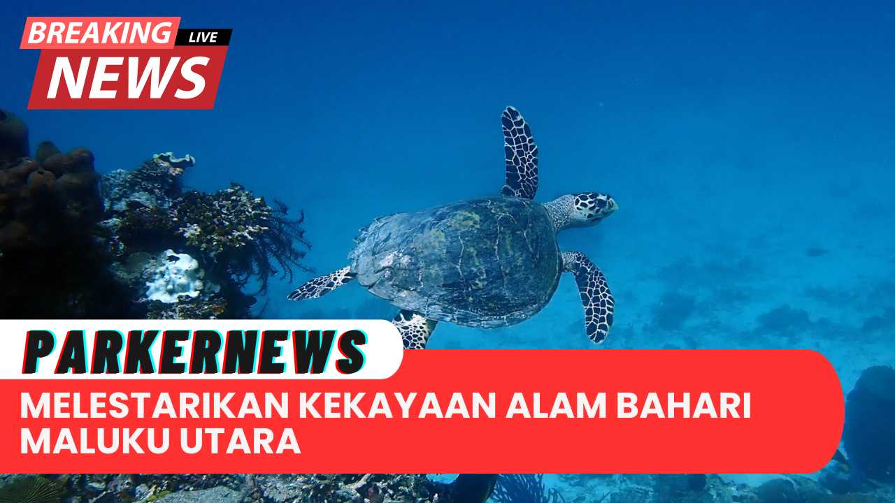 Melestarikan Kekayaan Alam Bahari Maluku Utara