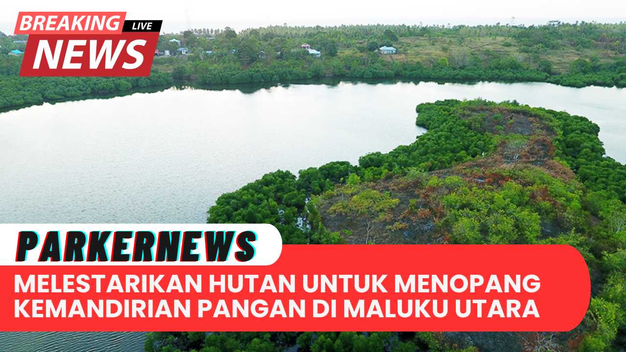 Melestarikan Hutan untuk Menopang Kemandirian Pangan di Maluku Utara