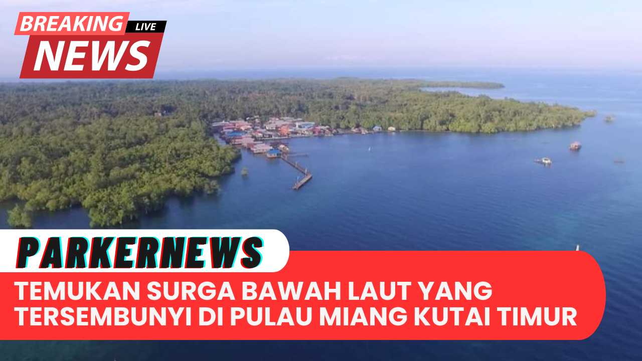 Temukan Surga Bawah Laut yang Tersembunyi di Pulau Miang, Kutai Timur