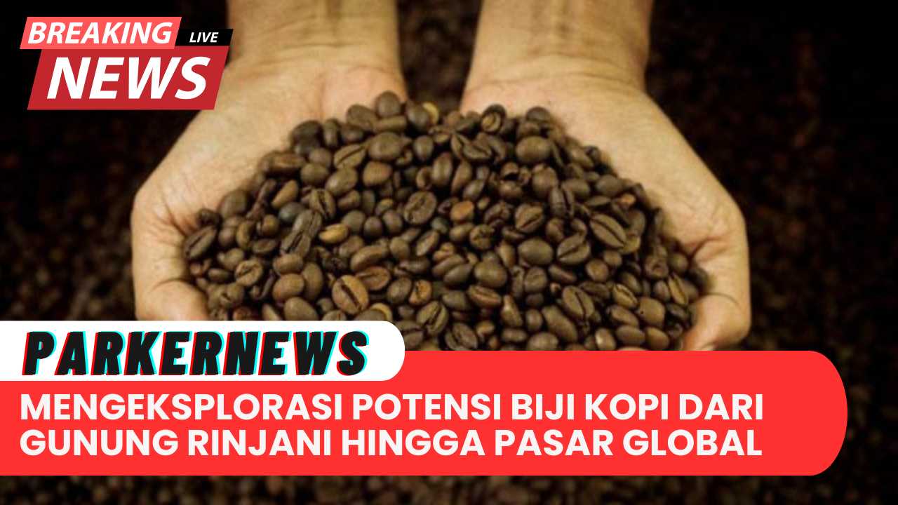 Mengeksplorasi Potensi Biji Kopi Dari Gunung Rinjani Hingga Pasar Global